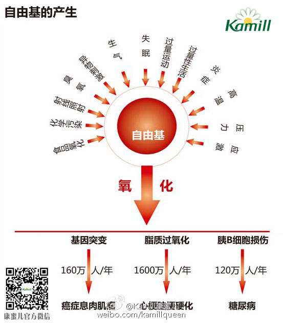 自由基最新信息，自由基最新动态报道