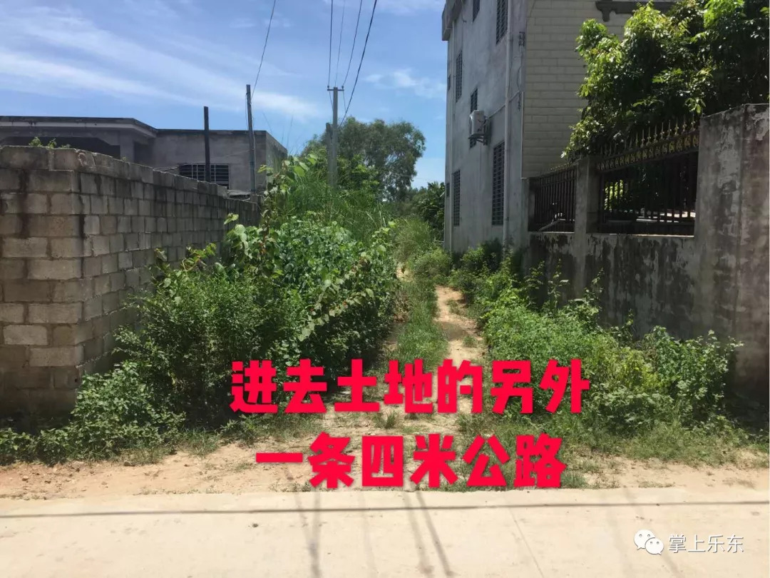 岑溪旧屋出租信息最新，岑溪旧屋最新出租信息