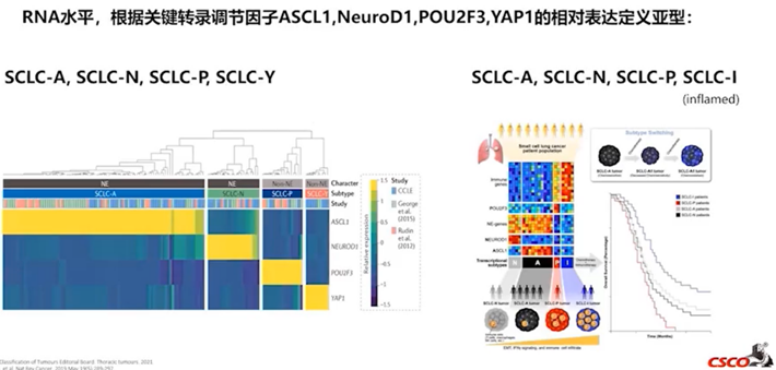 肺腺癌病理分型最新版，2023肺腺癌病理分型最新指南解析