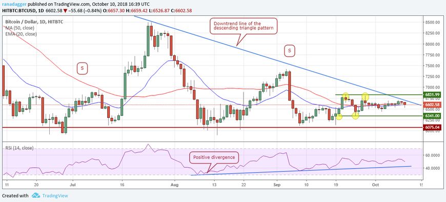 比特币现金与eos，比特币现金与EOS，加密货币领域的双雄对决