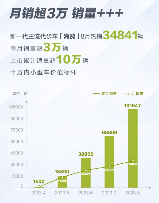 海鸥成交价2025款，深度解析与预测，海鸥成交价2025款深度解析及预测报告