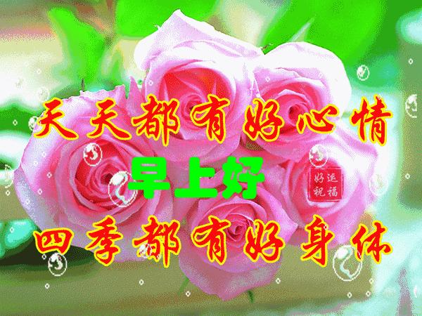 群友早上好最新版祝福语，独特的问候，让每一天都充满温馨与喜悦，群友早上好温馨问候，独特祝福开启美好一天，每日温馨与喜悦相伴