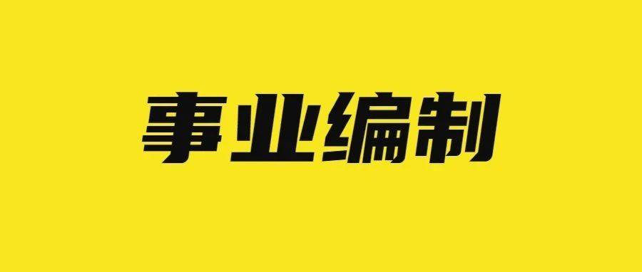 宁津单片机招聘信息最新，探索职业发展的理想选择，宁津单片机最新招聘信息，职业发展的理想选择探索