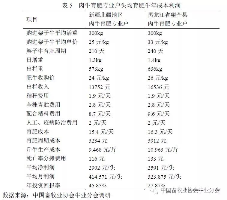 最新牛肉信息行情走势深度解析，最新牛肉市场行情深度解析报告