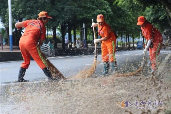 滨江宠物洗澡排行榜最新，滨江宠物洗澡排行榜TOP推荐