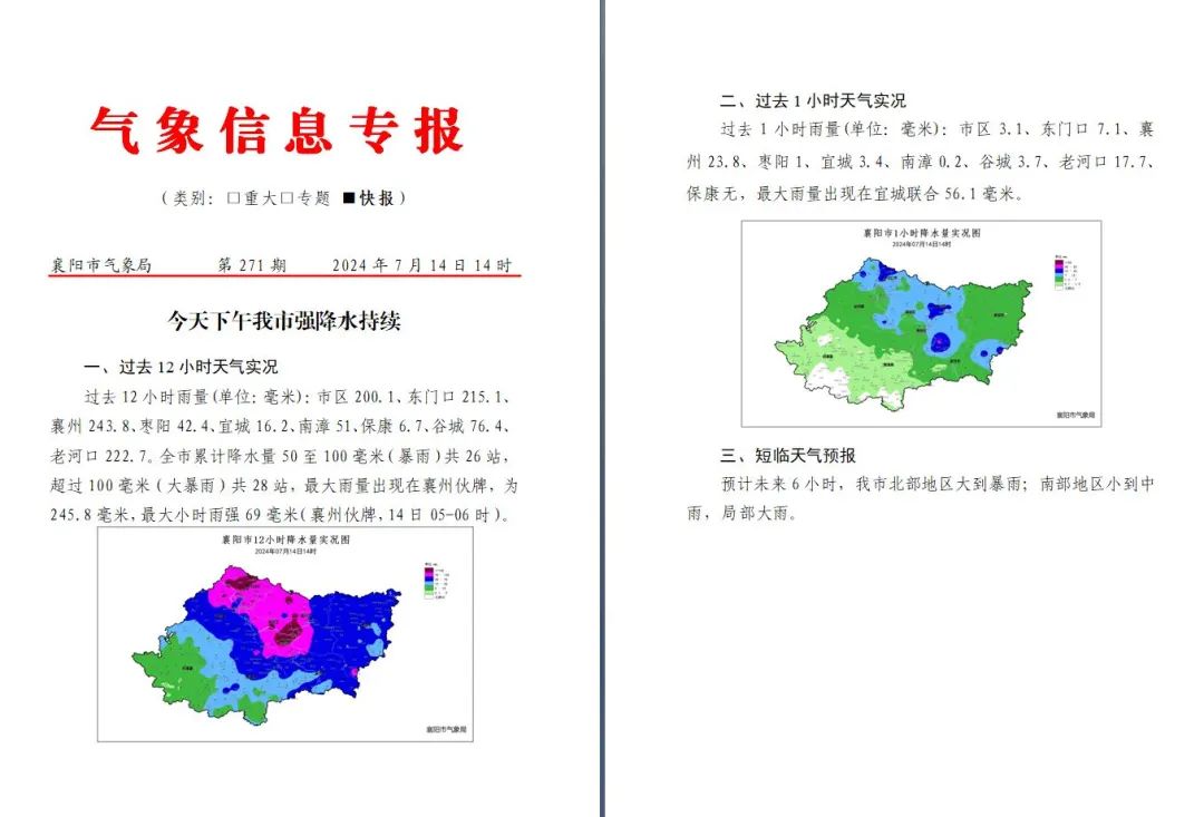 枞阳暴雨最新信息，深度解析与应对策略，枞阳暴雨，最新信息解析与应对策略探讨