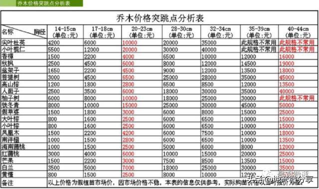 造价最新信息，最新造价信息概览