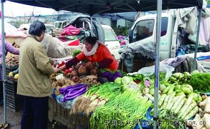 赶集蔬菜排行榜最新，赶集蔬菜排行榜最新更新