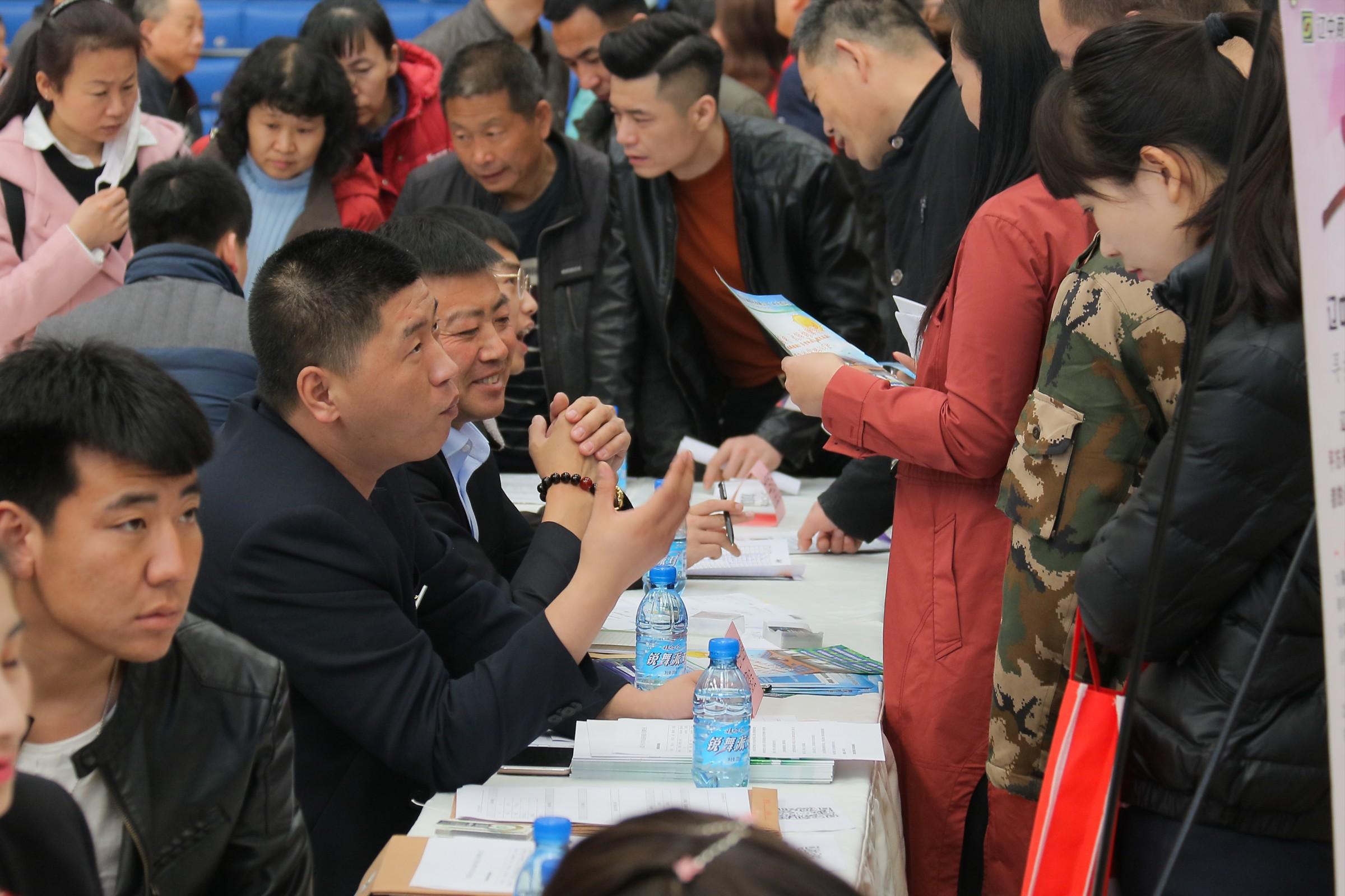 辽中最新招聘信息汇总，探索职业发展的新天地，辽中最新招聘信息大汇总，职业发展的新起点