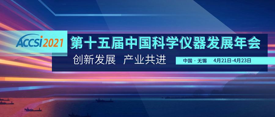 虎狮2025，未来蓝图与愿景展望，虎狮2025，未来蓝图与愿景展望展望