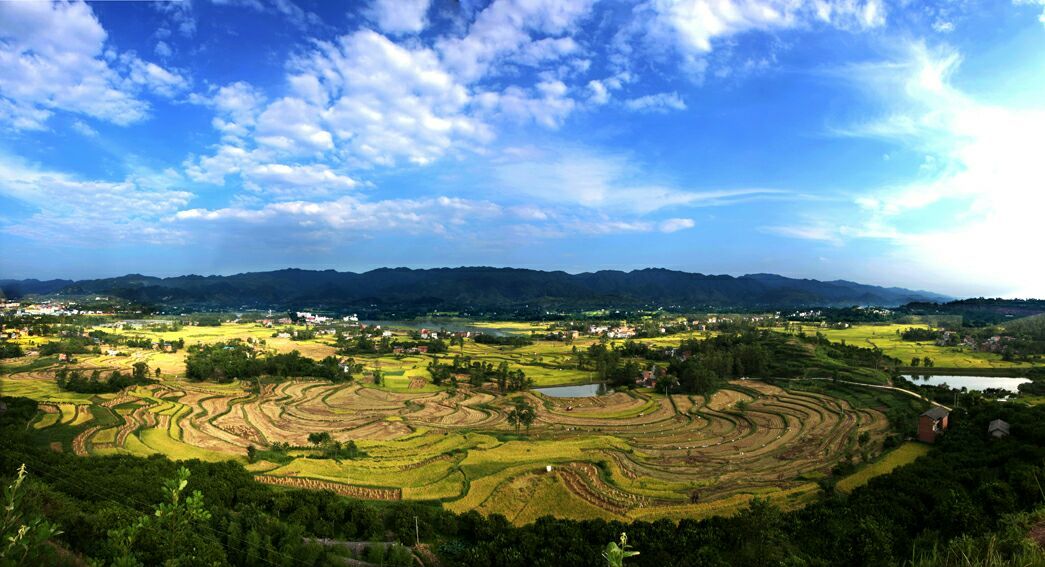 梁平景点排行榜最新，探索魅力梁平的旅游胜地，梁平旅游胜地排行榜最新探索，魅力梁平的景点之旅