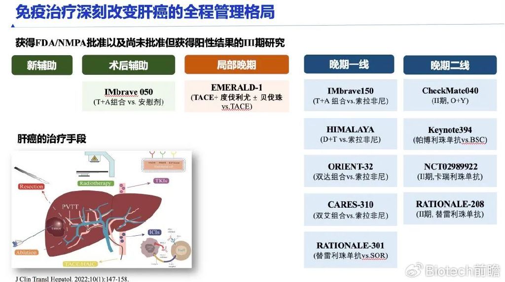 肝癌免费治疗最新信息，肝癌免费治疗最新资讯，全面解读免费治疗政策与最新进展