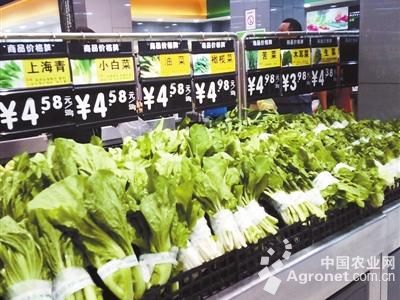 蔬菜大市排行榜最新，探寻健康食材的新高度，蔬菜市场最新排行榜，探寻健康食材的新趋势