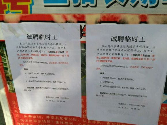 海南东方临时工最新招聘信息详解，海南东方最新临时工招聘信息全面解析