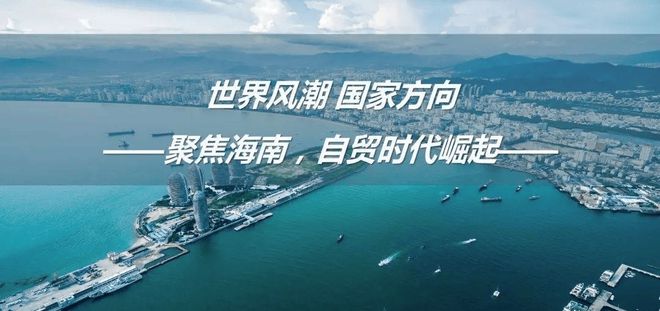 迈向2025，海南自贸区的崭新篇章，迈向2025，海南自贸区新篇章开启