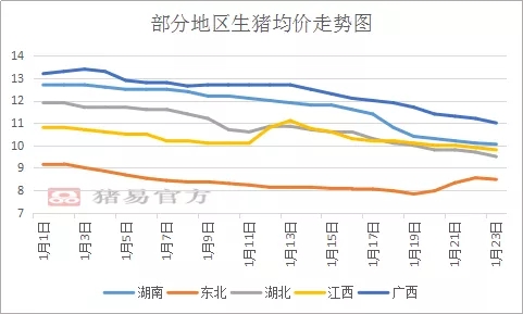 湖北地区生猪最新猪价分析与展望，湖北地区生猪最新猪价分析与未来展望