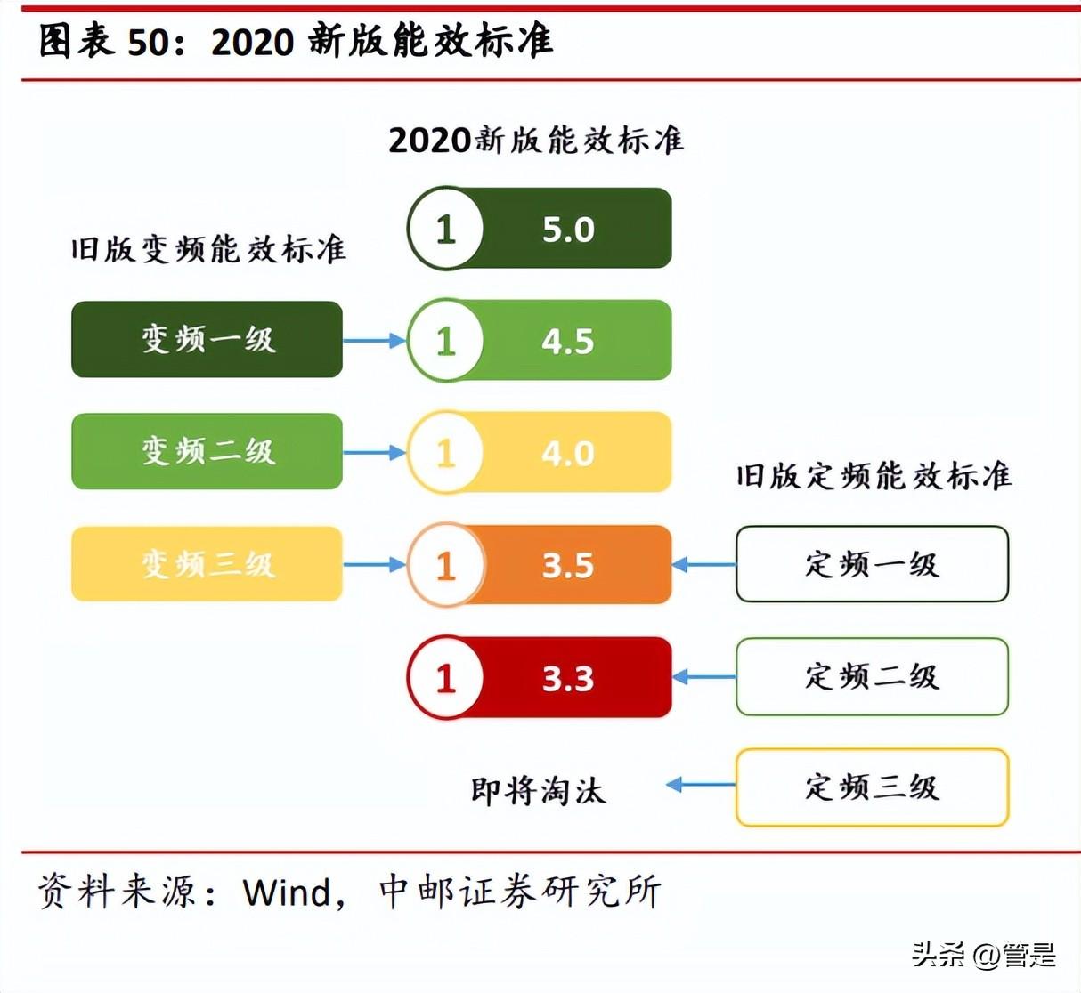 最新分析，2025年76年属龙人的财运展望，2025年属龙人财运展望，最新分析与预测