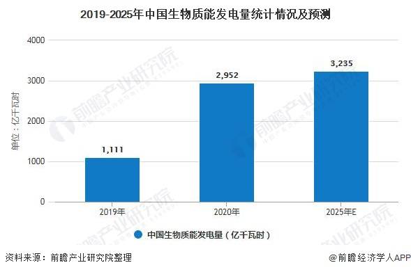 新洲电站最新信息，深度解析与前瞻发展，新洲电站最新动态，深度解析及前瞻发展展望