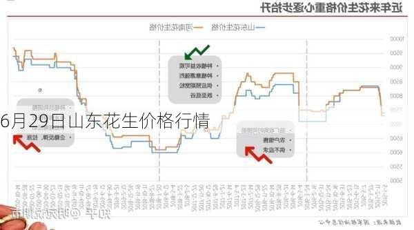 花生价格2025，花生价格预测到2025年