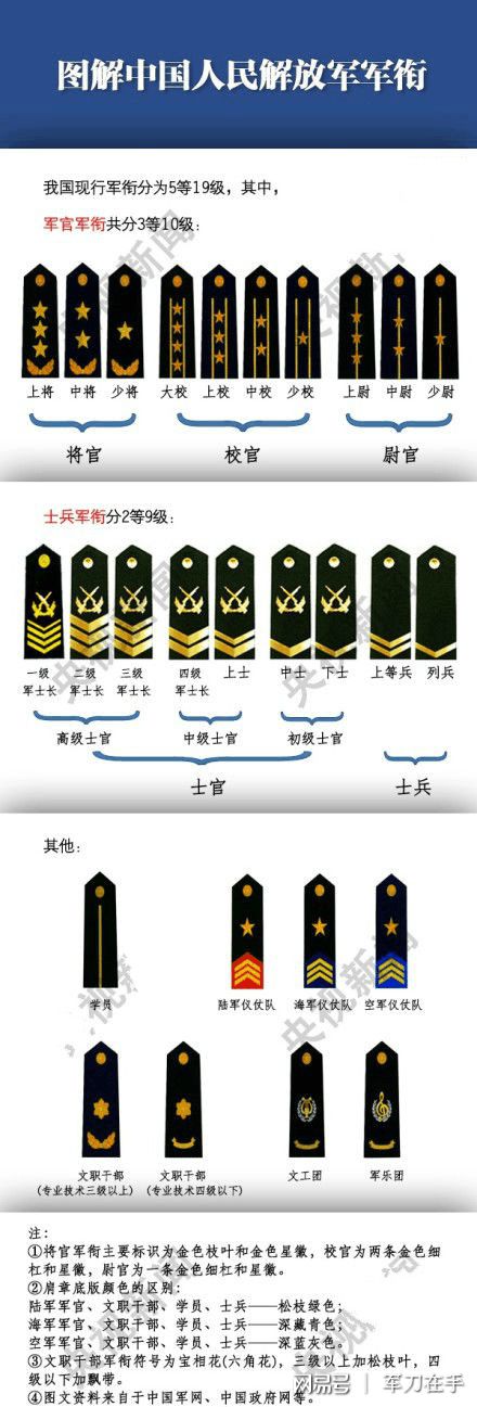 军龄等级排行最新图片，军龄等级排行最新图片概览