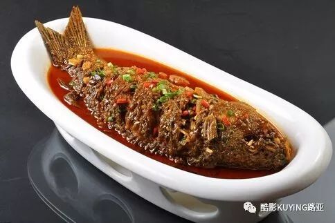 鲤鱼视频最新版的，鲤鱼视频最新版概览