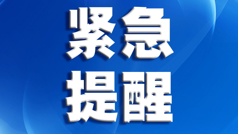 第7号台风最新消息，全方位解读台风动态与应对措施，全方位解读第7号台风动态与应对策略，最新消息及应对措施汇总