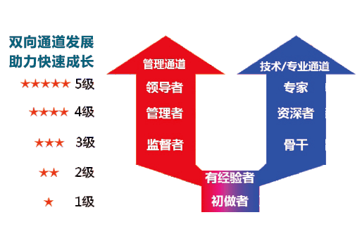 宣州招聘最新信息，掌握最新就业机会，助力职业发展之路，宣州最新招聘信息，把握就业机会，助推职业发展之路