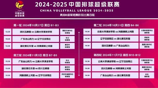 2024-2025德甲时间，德甲联赛赛程安排，2024-2025赛季时间表揭晓