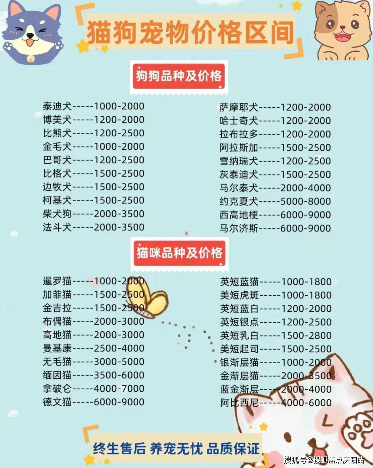 西峰宠物出售最新信息，西峰宠物最新出售信息汇总