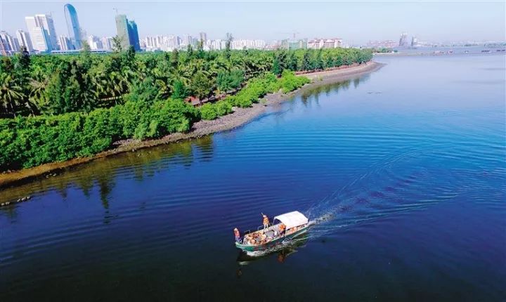 海口环湖路新闻最新消息，城市发展的脉搏与未来展望，海口环湖路最新动态，城市发展的脉搏与未来展望