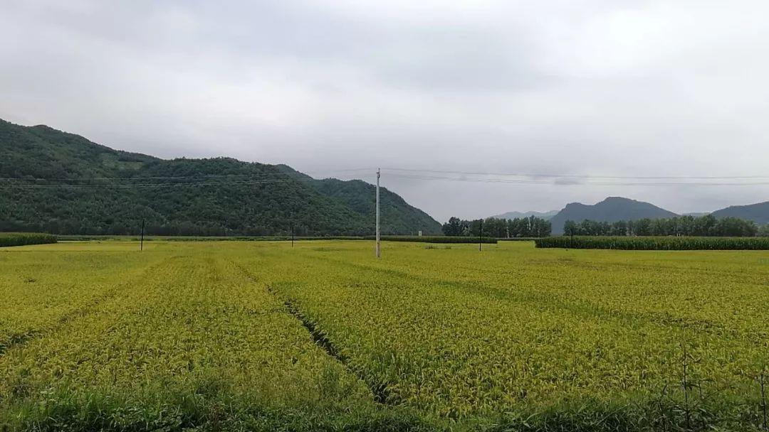 最新物流铁路招聘信息汇总，开启您的职业之旅，最新物流铁路招聘大汇总，开启职业之旅的大门