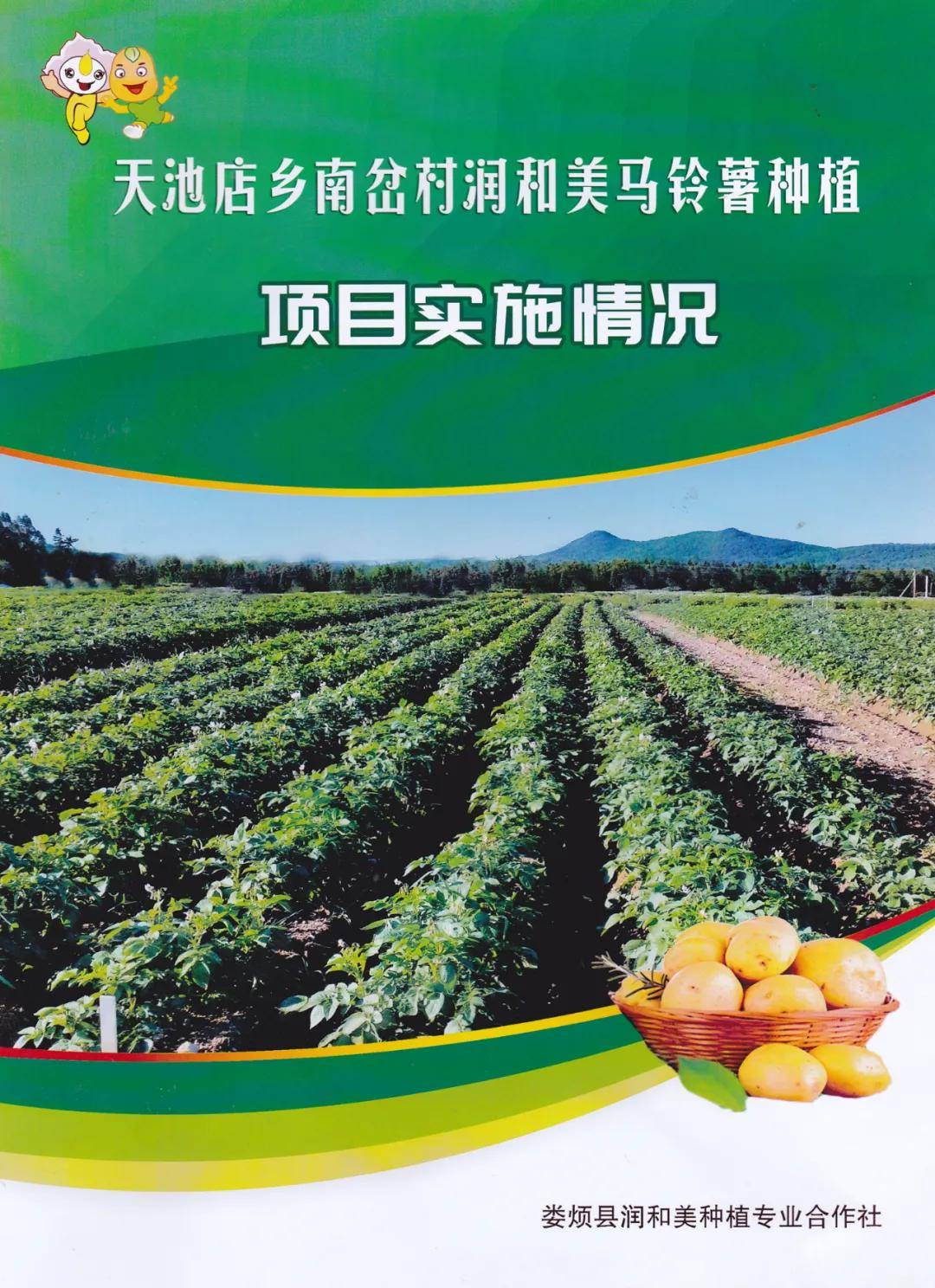 娄烦土豆最新信息，娄烦土豆最新动态报道