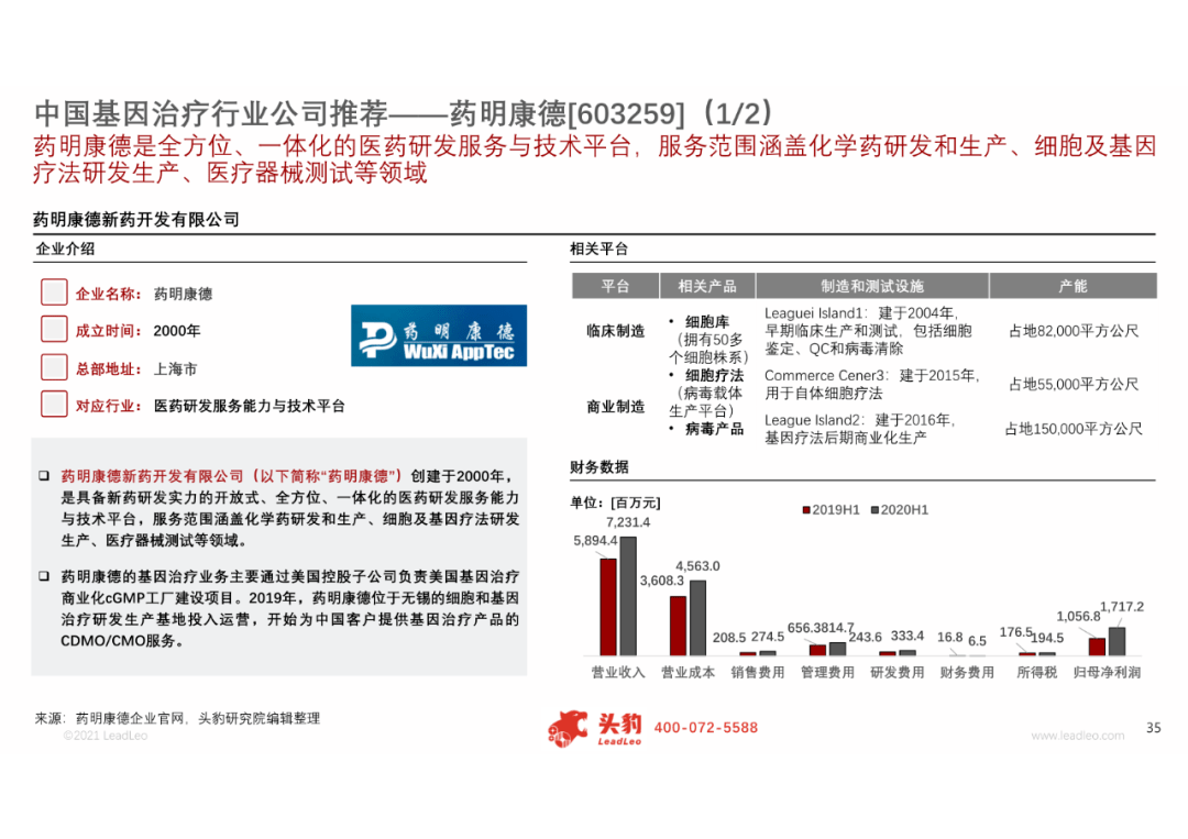 今年最新热点新闻，今年最新热点新闻概览