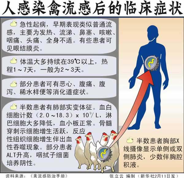 美国禽流感最新消息视频报道，疫情动态与影响分析，美国禽流感疫情最新动态，视频报道、影响分析与疫情动态