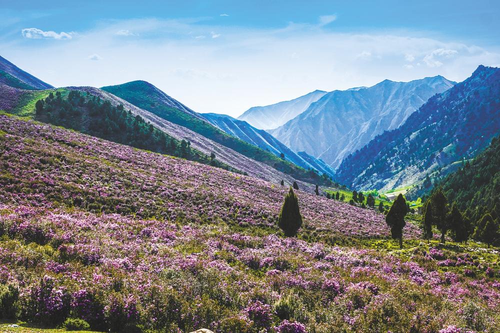 山川秀美新闻最新，山川秀美新闻更新，最新报道揭秘自然魅力