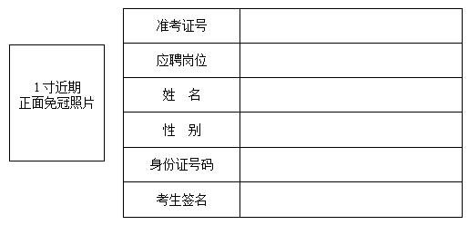 莆田最新酒吧招聘，莆田最新酒吧招聘启事