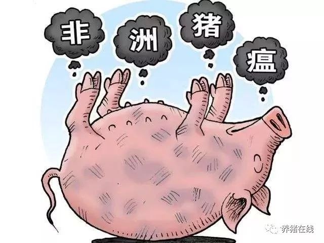 最新广西猪瘟信息全面解读，防控进展、疫情现状与应对措施，广西猪瘟最新动态，全面解读防控进展、疫情现状与应对措施