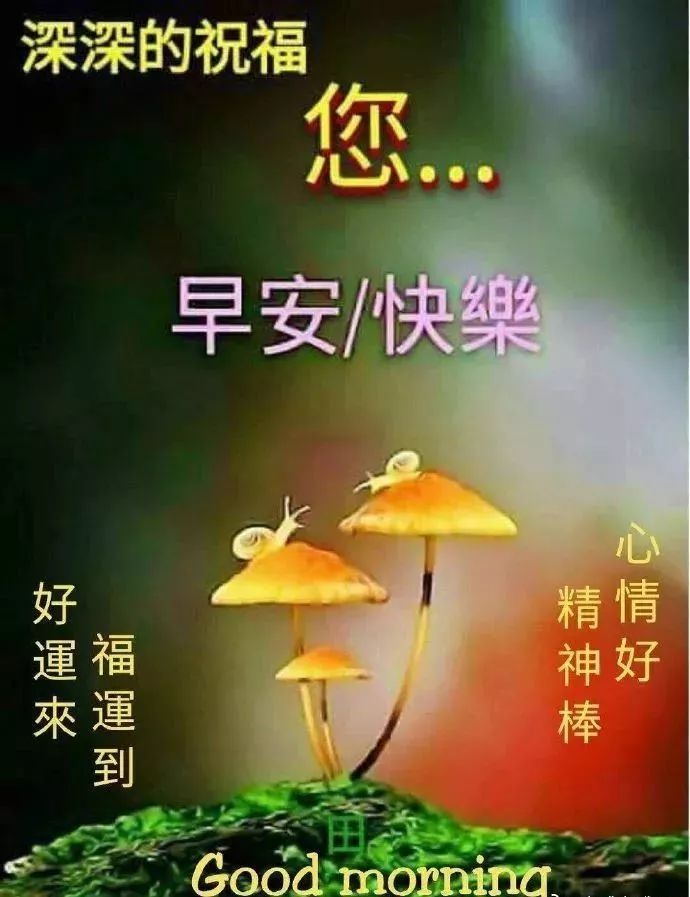 最新晚上好图片动态，探索高质量晚间美图的世界，最新晚上好图片动态，探索高质量晚间美图之旅