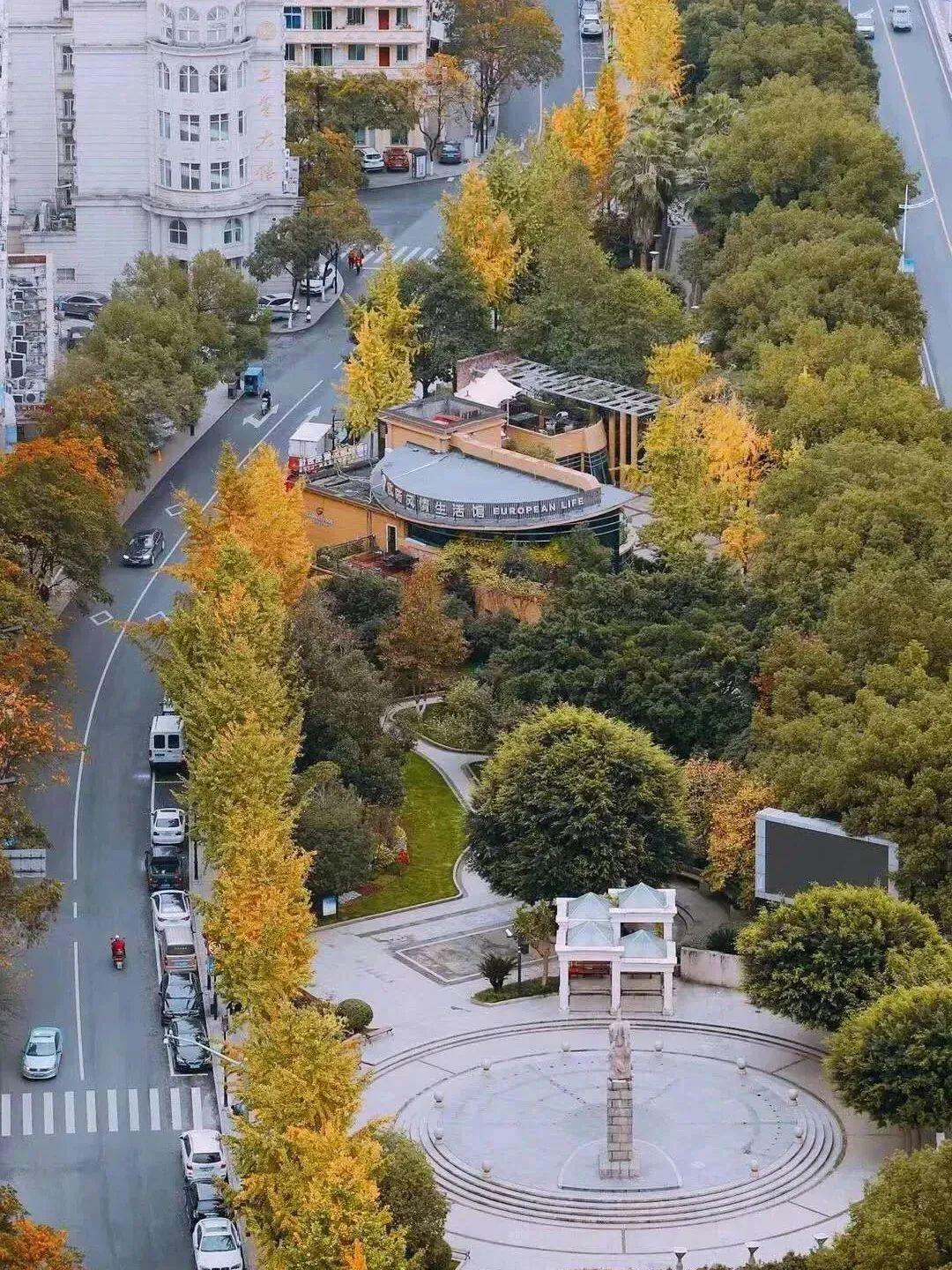 浙江房价最新涨幅排行，揭示各城市房价动态变化，浙江各城市房价动态变化及最新涨幅排行揭秘