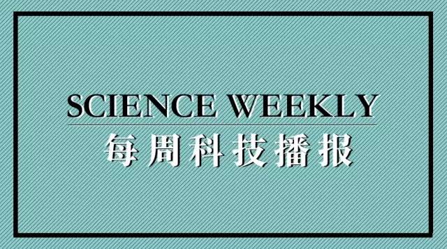 科学新闻最新消息20字，科学新闻最新动态，前沿科技突破与发现报道速递