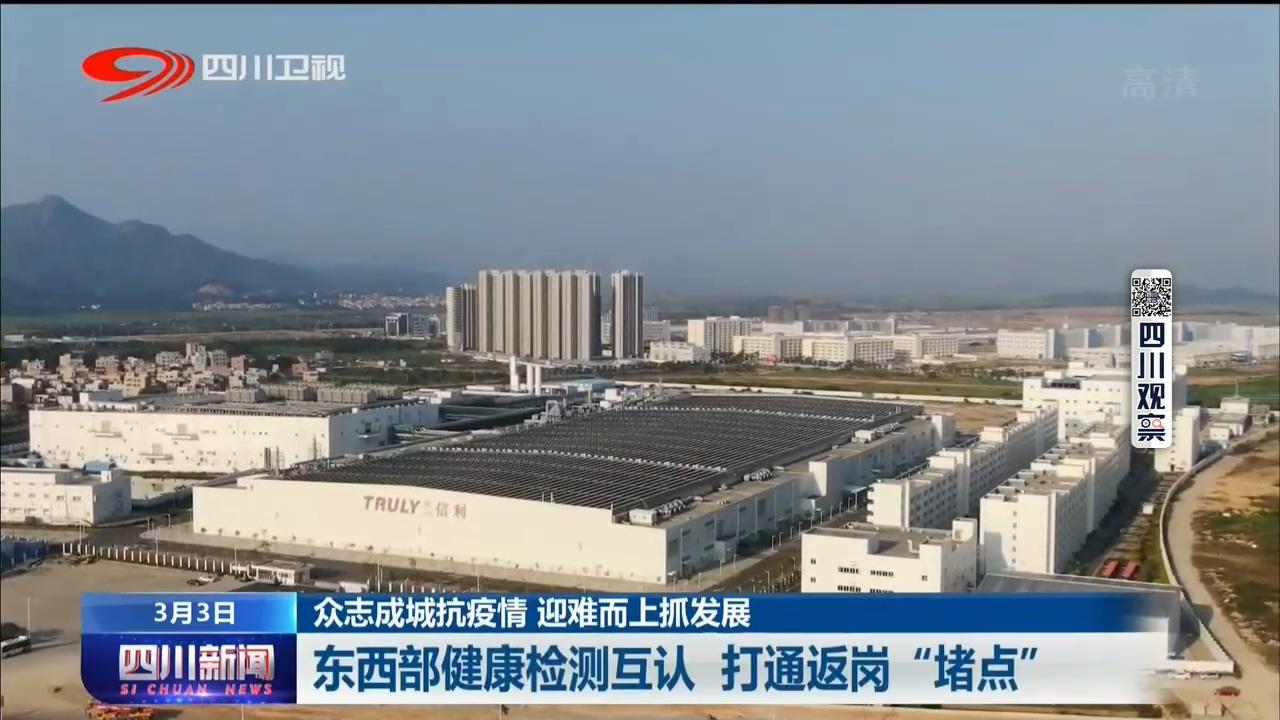 信利集团最新信息深度解析，信利集团最新信息全面解析报告