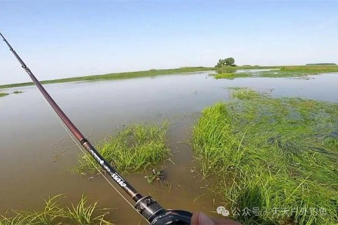 阳澄湖钓鱼规矩最新版，阳澄湖钓鱼规矩详解，最新规定汇总