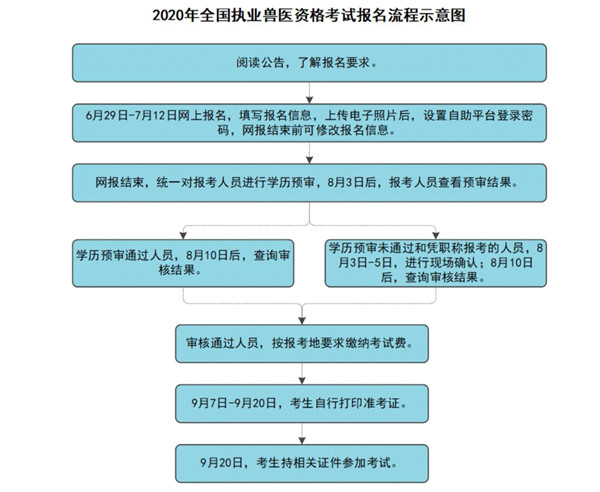 职业兽医从业指南最新版，职业兽医从业指南（最新版）全面解读