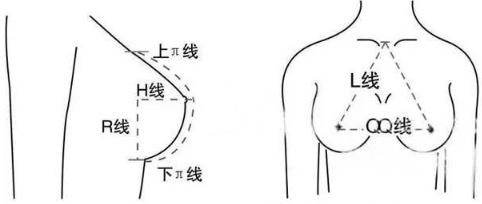 丰胸食品排行榜最新图片，助你实现完美胸部曲线，丰胸食品排行榜最新图片，助力实现完美胸部曲线