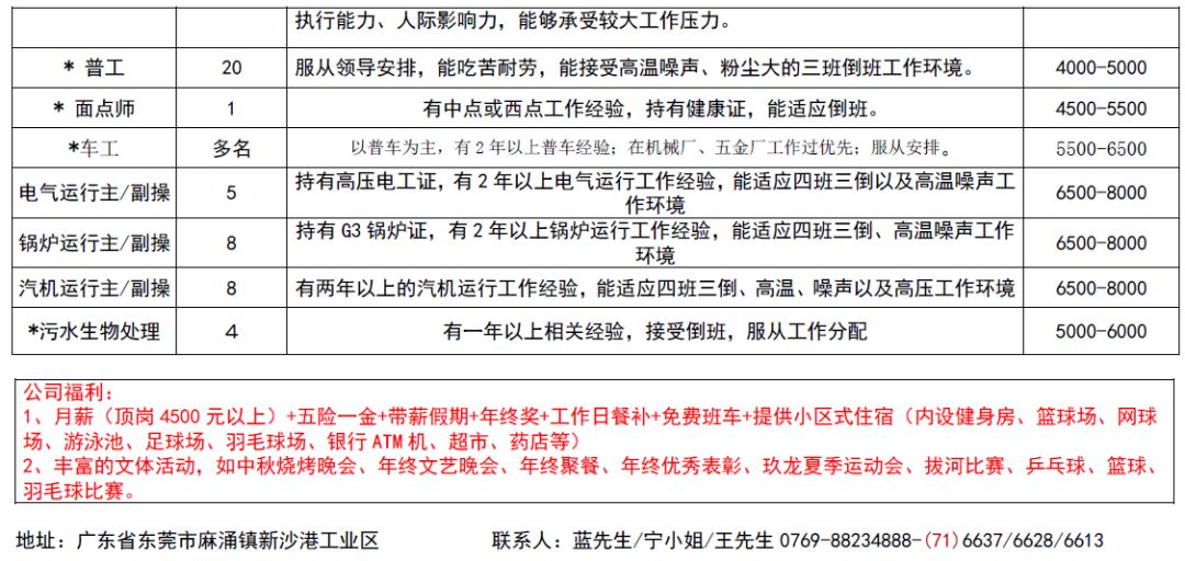 灵川木马最新消息招聘，探索公司发展与人才招募的新动态，灵川木马最新招聘动态，探索公司发展，开启人才招募新征程