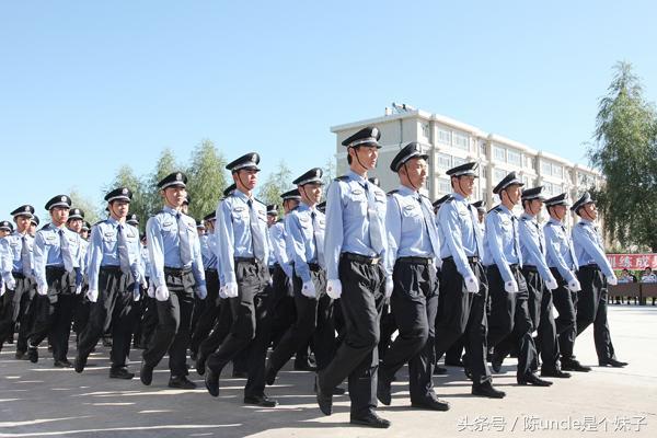 重庆辅警最新消息全面解读，职业前景、福利待遇与改革动态，重庆辅警最新动态解读，职业前景、福利待遇及改革进展全解析