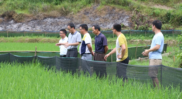 养鱼招聘最新招聘信息及行业动态分析，养鱼行业最新招聘信息与行业动态深度解析