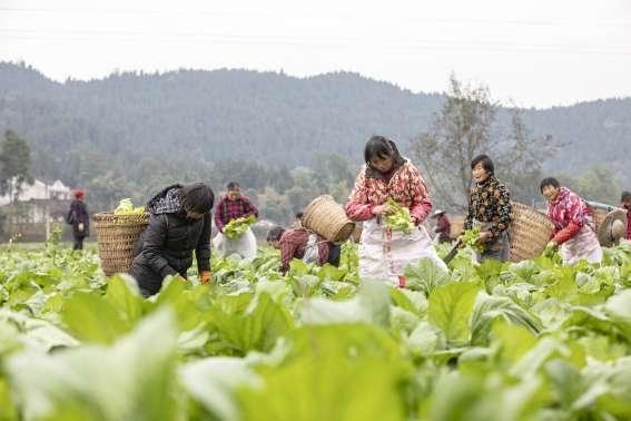 河沙最新新闻，河沙最新动态报道