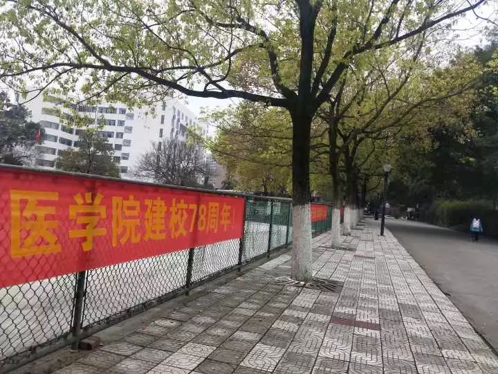 赣州医学招聘网最新招聘动态及职业发展机会探讨，赣州医学招聘网最新动态与职业发展机会深度探讨