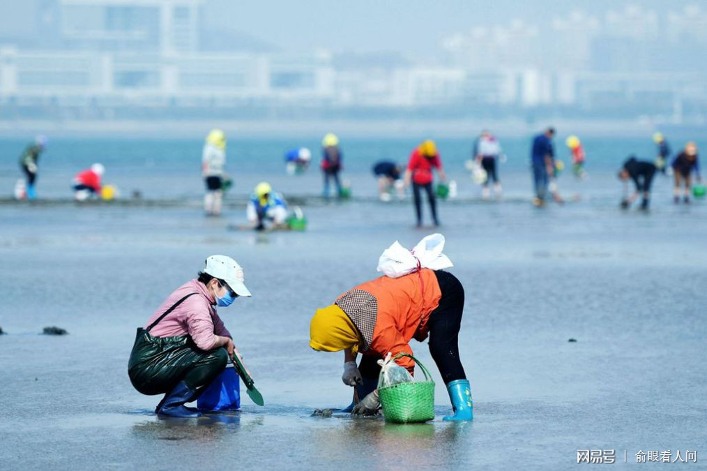 青岛赶海2025，青岛赶海盛宴，探寻海洋宝藏 2025年展望